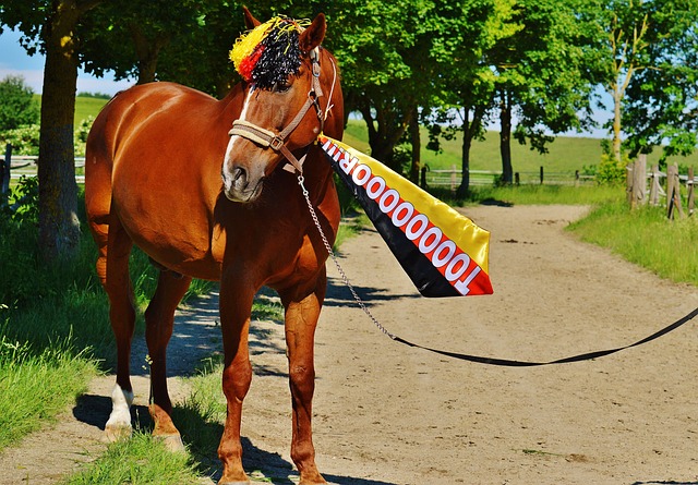 为广受关注 为广受关注
