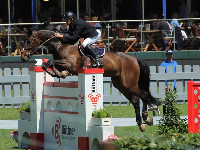 这一胜利对 这一胜利对